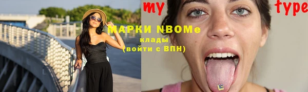 гашик Вяземский